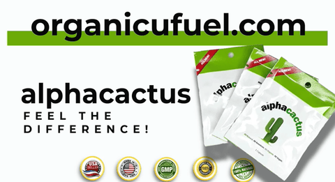 Embracing Nature's Power: Alpha Cactus at the Forefront of the ED Treatment Revolution - Organic Fuel