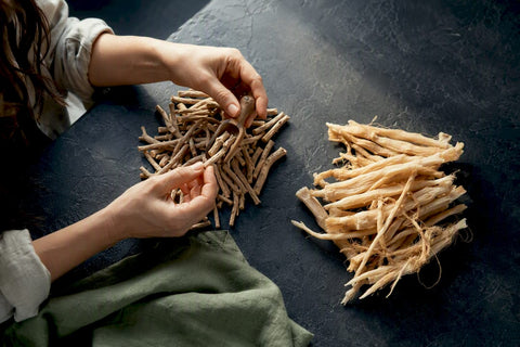 Ashwagandha and shatavari roots arranged for study